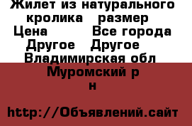 Жилет из натурального кролика,44размер › Цена ­ 500 - Все города Другое » Другое   . Владимирская обл.,Муромский р-н